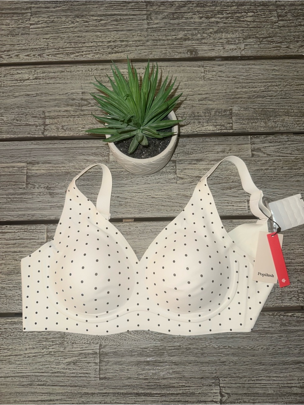 NWT Popilush Seamless Polka Dot T-Shirt Bra, Cream, Sz XL